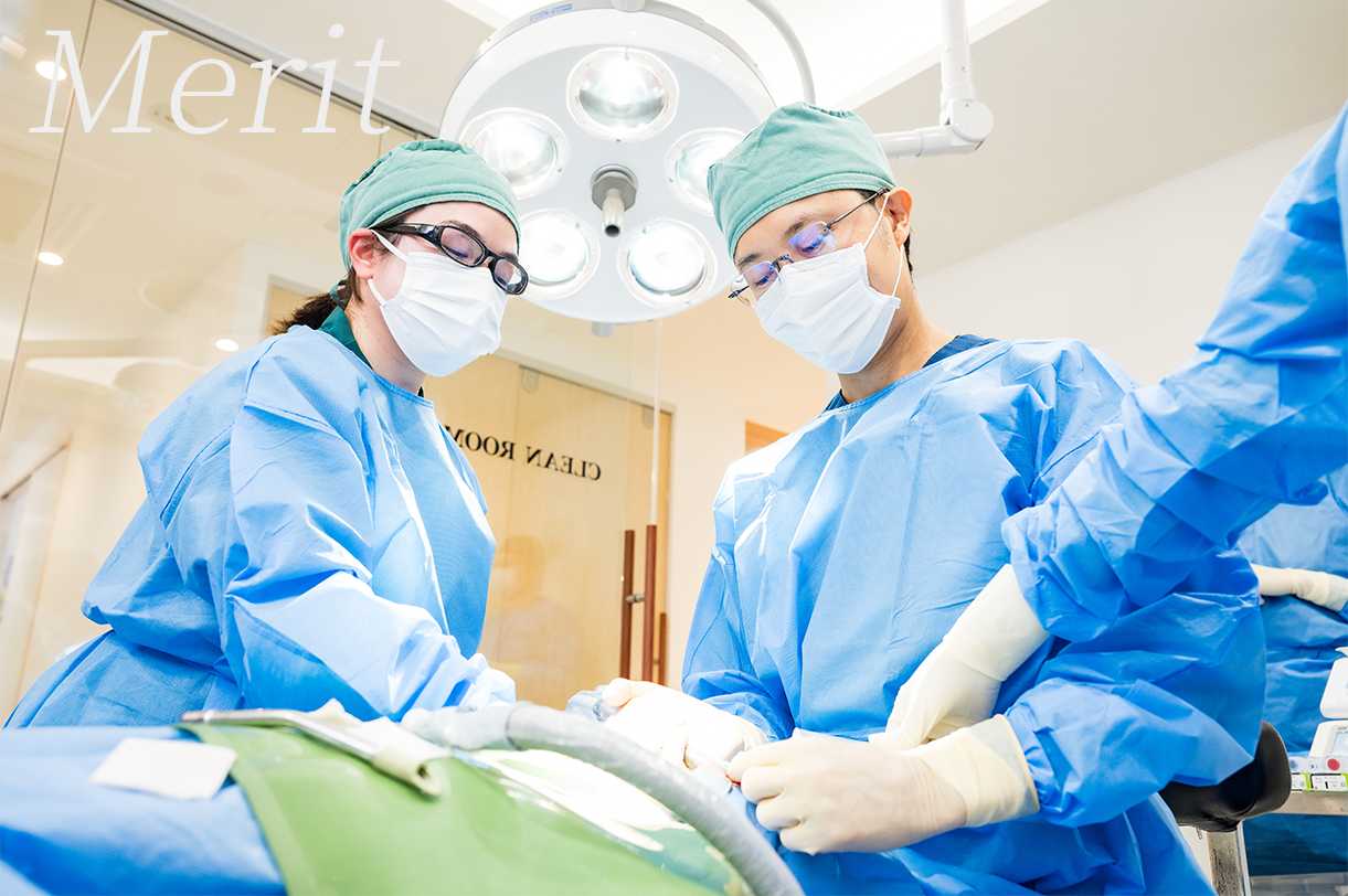 成功率が高い杉並区のインプラント歯科医師